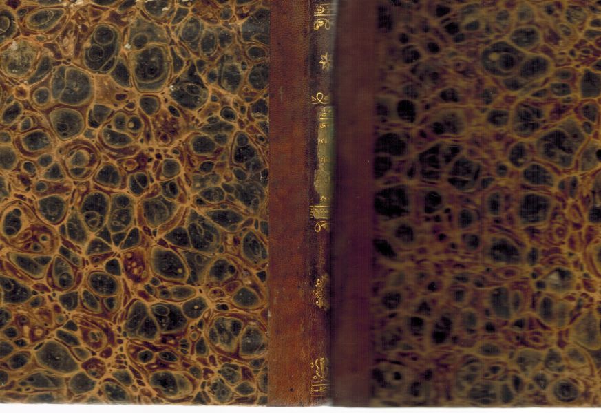 Image for Udam Dehlenfchlage's Schriften