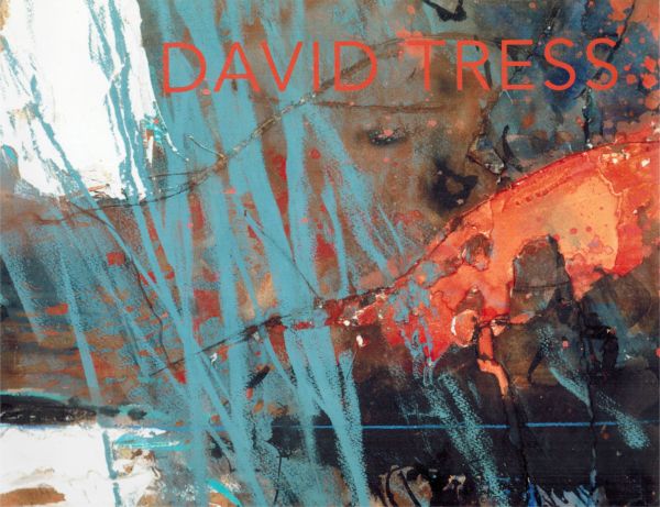 Image for David Tress Messums 2013